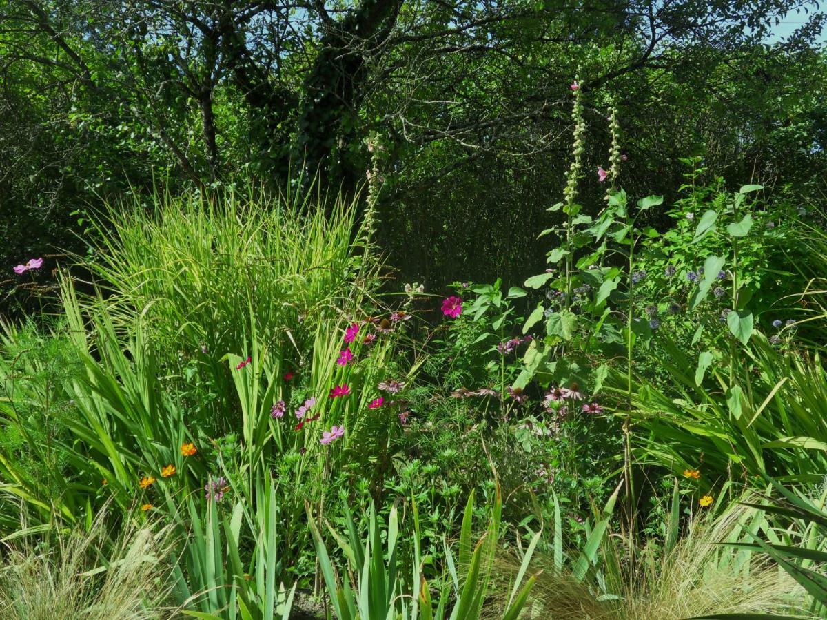 Troglodelice Bed and Breakfast Azay-le-Rideau Exteriör bild