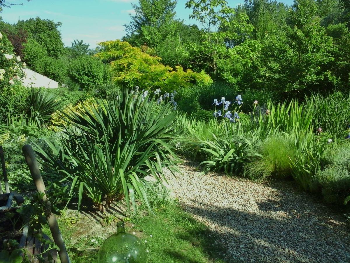 Troglodelice Bed and Breakfast Azay-le-Rideau Exteriör bild