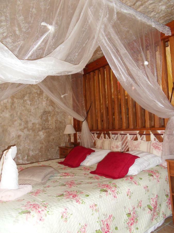 Troglodelice Bed and Breakfast Azay-le-Rideau Exteriör bild